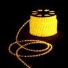 Rich Led Светодиодный дюралайт 2-х проводной, свечение 360°, 220 В RL-DL-2WH-100-240-Y