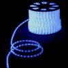 Rich Led Светодиодный дюралайт 2-х проводной, свечение 360°, 220 В RL-DL-2WH-100-240-B
