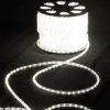 Rich Led Светодиодный дюралайт 3-х проводной, свечение 360°, 220 В RL-DL-3W-100-240-WW