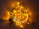 Rich Led Светодиодная гирлянда, соединяемая, IP54 RL-S10C-24V-T/Y