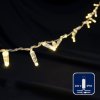 Rich Led RL-S7N-72L-220V-CT/WW Светодиодная гирлянда 7 м, 72 LED, 220 В