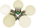 Rich Led Светодиодная лампа для Белт-лайта, RL-B-E27-G45-2W-WW