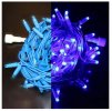 Rich Led Светодиодная гирлянда RL-S10C-220V-RB/B