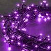 Rich Led Светодиодная гирлянда RL-S10C-24V-B/V