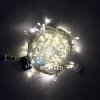 Rich Led Светодиодная гирлянда, соединяемая, постоянное свечение, IP54 RL-S10C-24V-T/WW