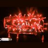 Rich Led Светодиодная гирлянда, мерцающая, с герметичным колпачком, соединяемая, IP65 RL-S10CF-220V-CW/R