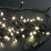 Rich Led Светодиодная гирлянда, соединяемая, 220 В, IP54 RL-T20C2-B/WW