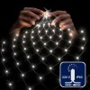 Rich Led RL-N2*4-CB/W Светодиодная сетка 2*4 м, 512 LED, 220 B
