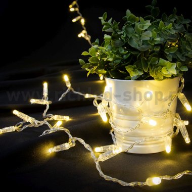 Фотография товара 'Rich Led RL-S7N-72L-220V-CT/WW Светодиодная гирлянда 7 м, 72 LED, 220 В'