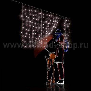 Фотография товара 'Rich Led Светодиодный занавес (дождь) RL-CS2*1-CW/W*'