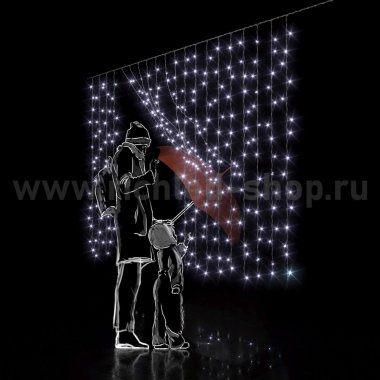 Фотография товара 'Rich Led Светодиодный занавес RL-CS2*1.5F-CT/W'
