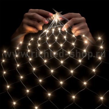 Фотография товара 'Rich Led Светодиодная сетка, соединяемая, 220 B, IP60 RL-N2*3-T/WW'