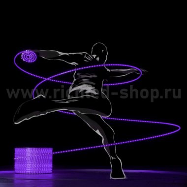 Фотография товара 'Rich Led RL-DL-2WH-100-240-V Светодиодный дюралайт 2-х проводной'