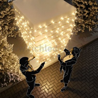 Фотография товара 'Rich Led Светодиодная гирлянда RL-S10CF-220V-CGd/WW'