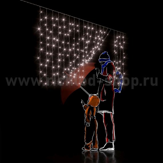 Фотография товара 'Rich Led Светодиодный занавес (дождь) RL-CS2*1-CW/W*'
