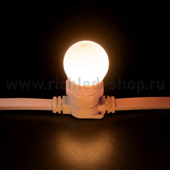 Фотография товара 'Rich Led Светодиодная лампа для Белт-лайта, RL-B-E27-G45-2W-WW'