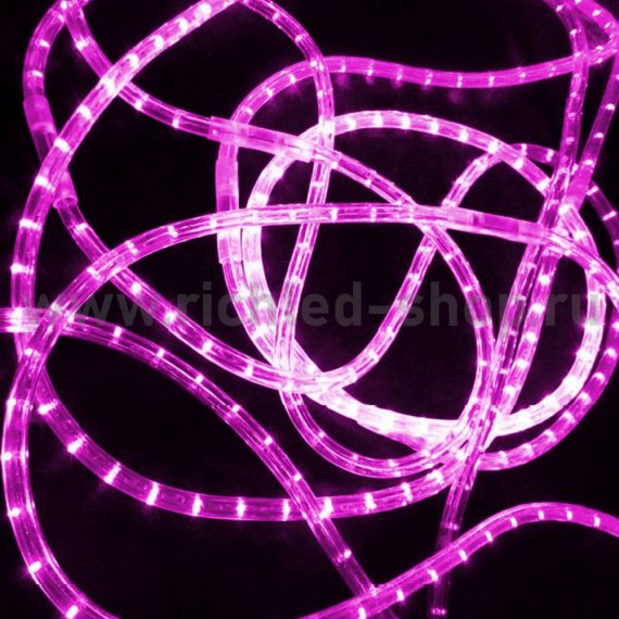 Фотография товара 'Rich Led Светодиодный дюралайт RL-DL-2WH-100-24-P'