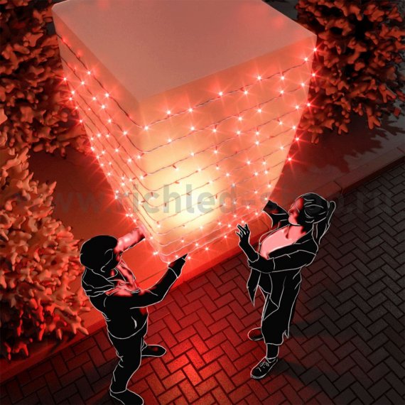 Фотография товара 'Rich Led Светодиодная гирлянда RL-S10CF-220V-CT/R'