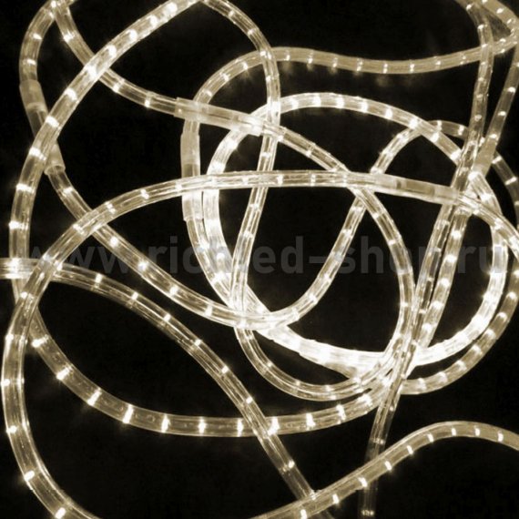 Фотография товара 'Rich Led Дюралайт, 100 м, 24 В, постоянное свечение, RL-DL-2WH-100-24-WW'