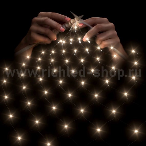 Фотография товара 'Rich Led Светодиодная сетка RL-N2*4-CB/WW'