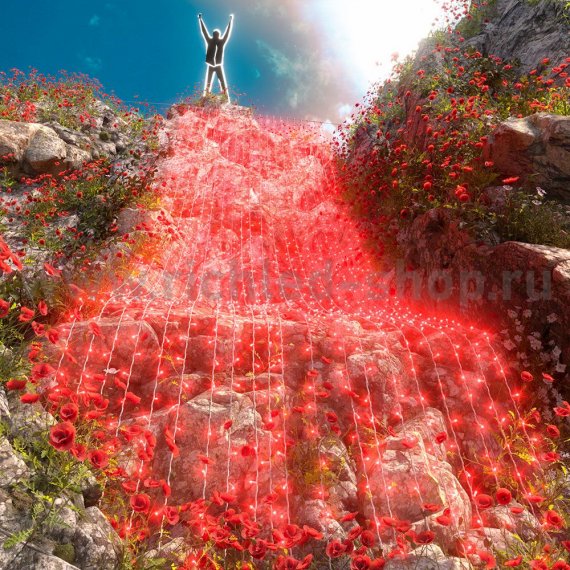 Фотография товара 'Rich Led RL-C2*9-T/R Светодиодный занавес 2*9 м, соединяемый до 2 шт.1800 LED'