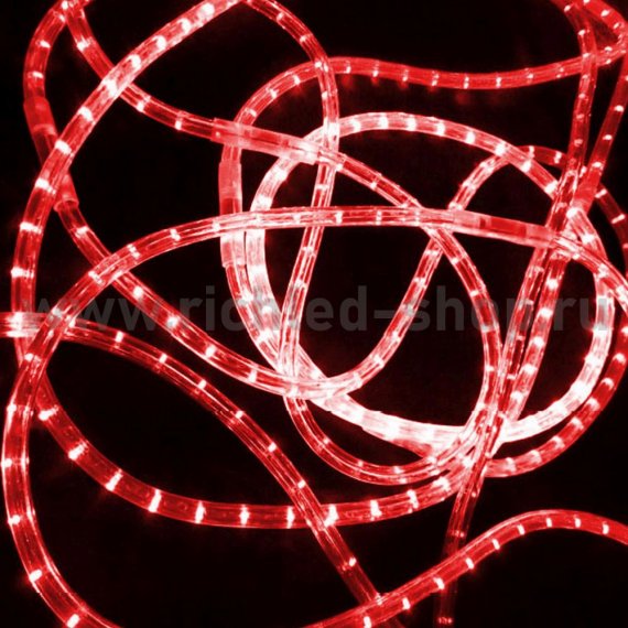 Фотография товара 'Rich Led Дюралайт, 100 м, 24 В, постоянное свечение, RL-DL-2WH-100-24-R'