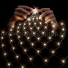 Rich Led RL-N2*1.5-CT/WW Светодиодная сетка 2*1.5 м 202 LED, 220 B