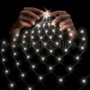 Rich Led RL-N2*3-CT/W Светодиодная сетка 2*3 м 388 LED, 220 B